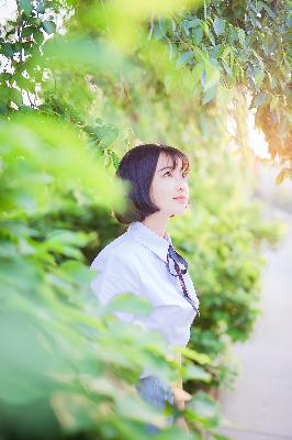 高清DVD碟片收藏指南：日韩欧美影片资源哪里找？